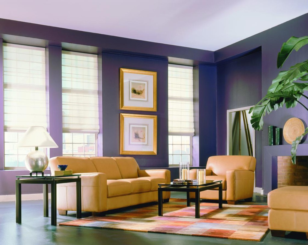 interior window treatments